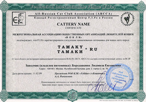 Сертификат регистрации питомника, british blue, cattery BSH